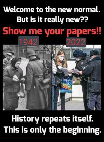 FB_IMG_1644181009384