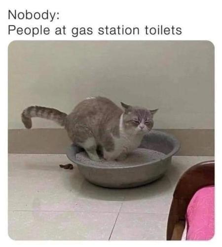 FB_IMG_1644855195533