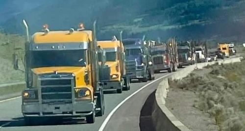 FB_IMG_1645395893845