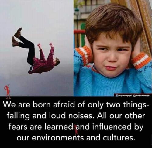 274083670_4270169246415942_7874335627703049451_n