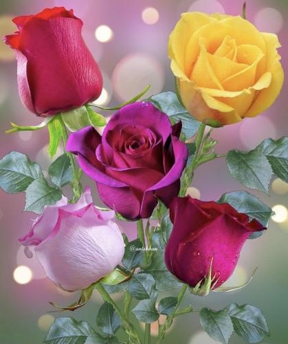 20:21:53 GMT-0600 (CST)