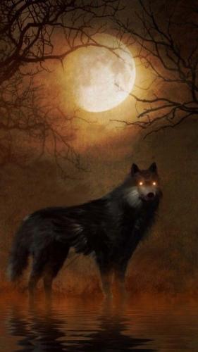 20:29:44 GMT-0600 (CST)