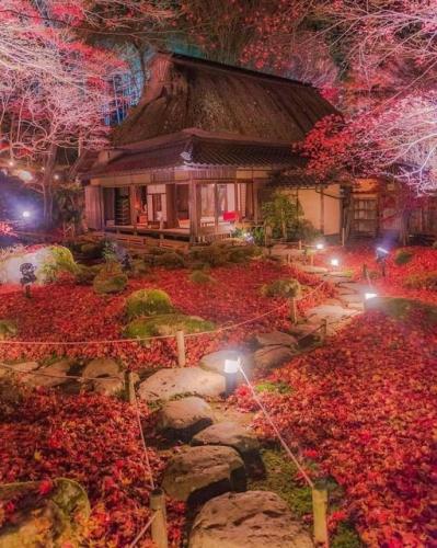 275058826_3064789343737521_2230381339333730631_n