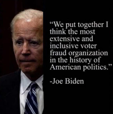 voterfraud282