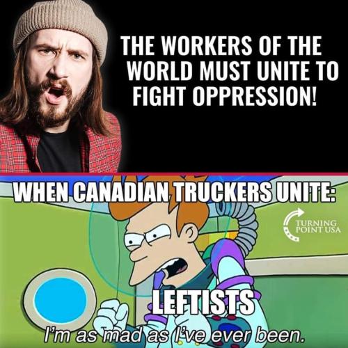 FB_IMG_1644373098646