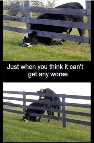FB_IMG_1643826019172