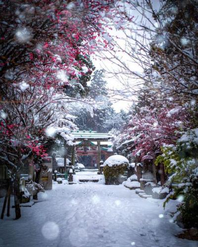 273321616_488081582687849_1575262091252197021_n