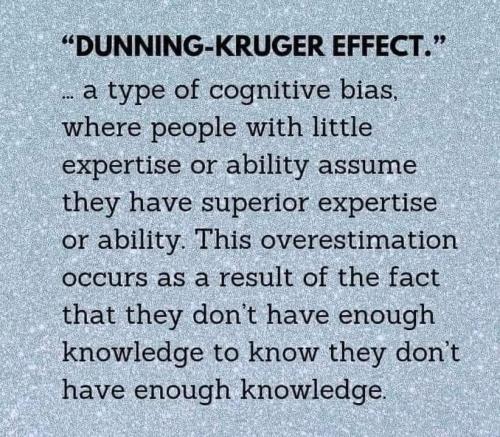 Kruger Effect 1