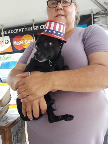 04:05:31 GMT-0500 (EST)