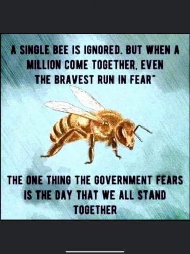 FB_IMG_1644870712523