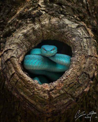 tumblr_9bff8072c0da36b56fdfd35fa2b6e8d1_bfac853a_540