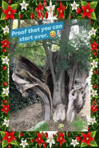 PROOF YOU CAN START OVER