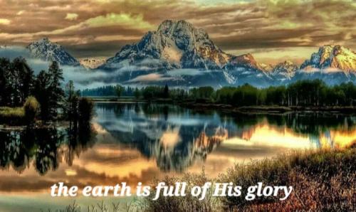 Screenshot_20220206-060552_DuckDuckGo