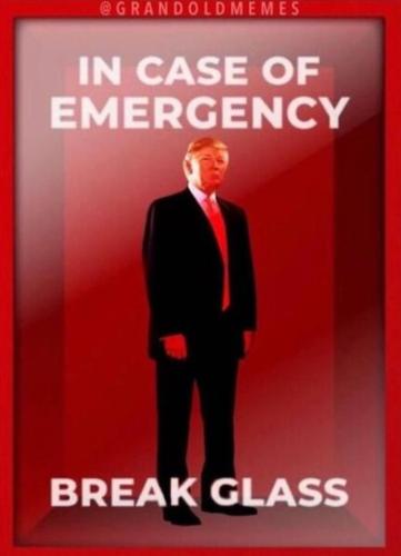 In case_of_emergency_Trump