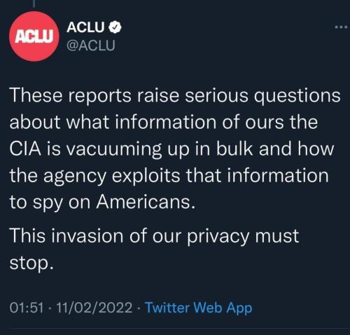 Spying Americans 1