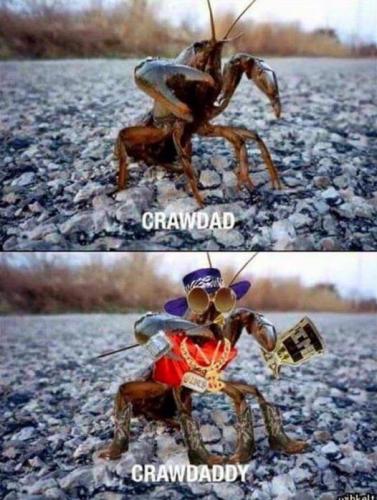 146170066_1603985793142290_6442832031253767168_n