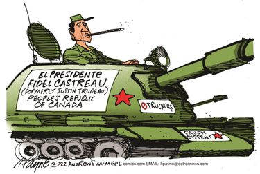 payn_c18847020220215120100-375x275