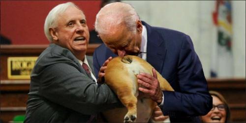 sniff00
