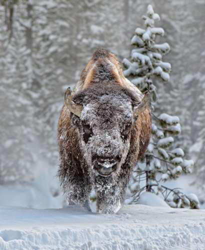 tumblr_9452145e1914f64e24ecafbca6cf9dad_47ba29c7_540