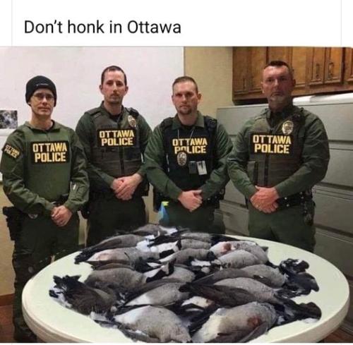 273716303_3259657227689094_818691861130858885_n