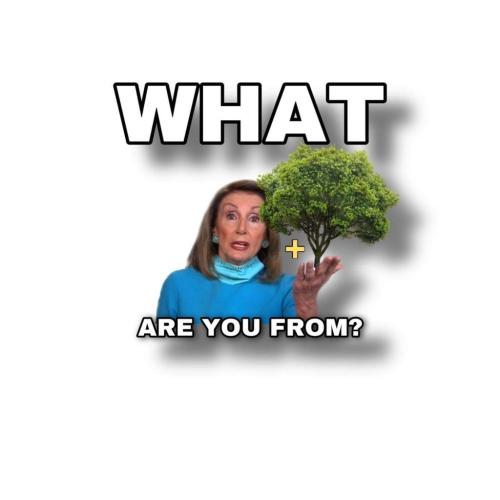 FB_IMG_1645195446726