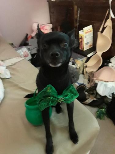 20:35:01 GMT-0500 (EST)