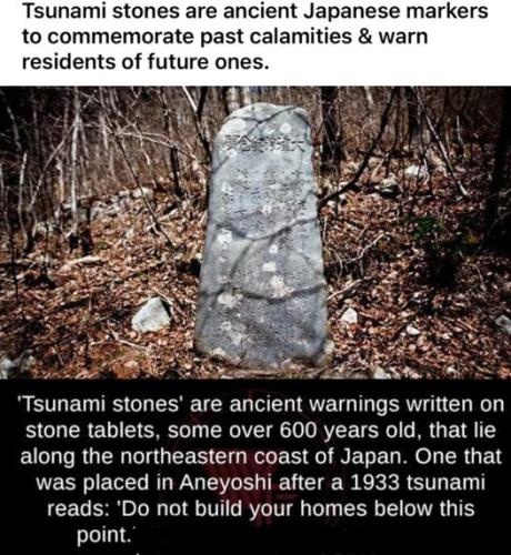 274268033_501077891359458_6759887780576669998_n