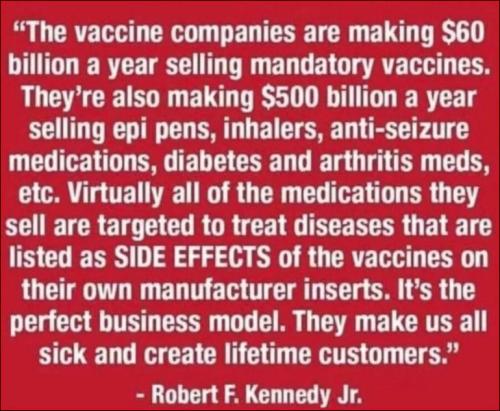 robert f kennedy02