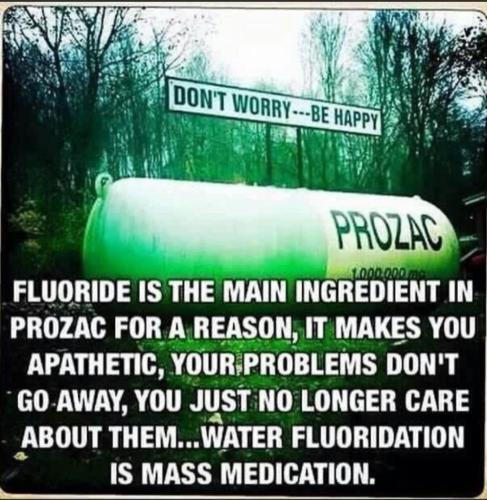 Resized_Screenshot_20220215-125235_MeWe