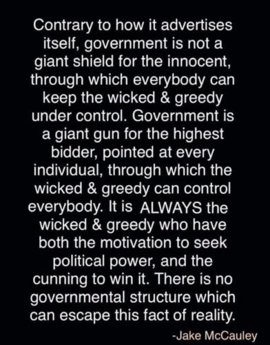 Govt Gun 1