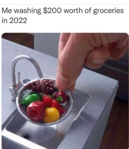 FB_IMG_1644450876706