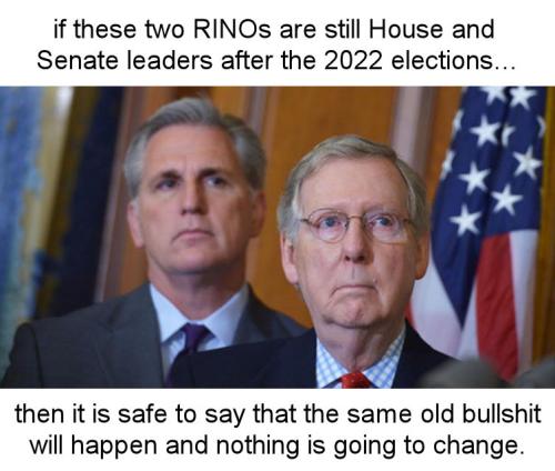 rhino09