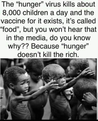 IMG-1101264299d290e3394d2b170c329008-V