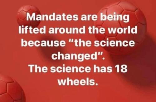 274077875_4944965522237164_1455499376405915990_n