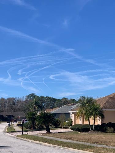 IMG_20220202_104049_518