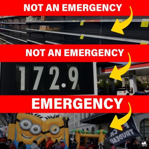 274004209_256146993365853_8544518577593525198_n