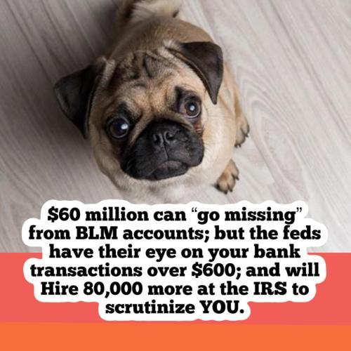 273014400_2128813203942021_6340036222884048510_n