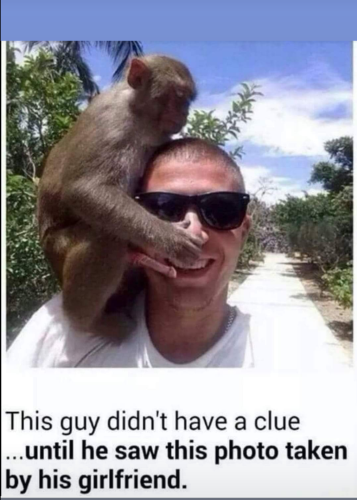 Screenshot_20220131-223726-051