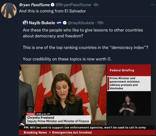 274186866_4982699565124013_289039836927410900_n