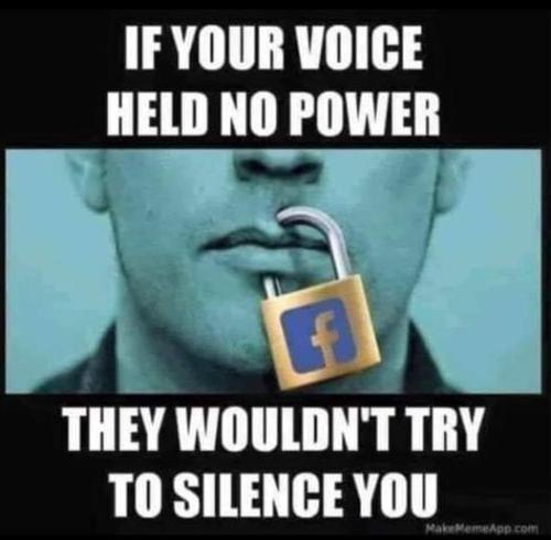 271138235_439230191176264_473945261648615465_n