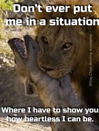 FB_IMG_1644282430131