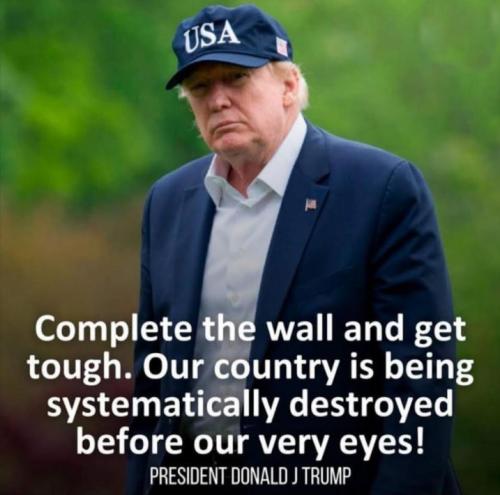 the wall205