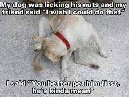 FB_IMG_1645421587029