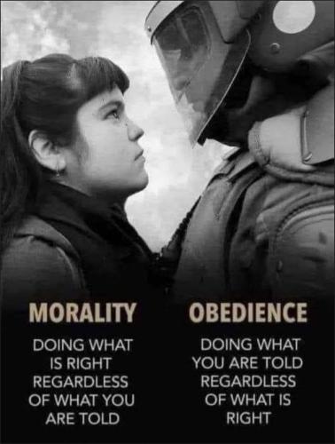 obedience05