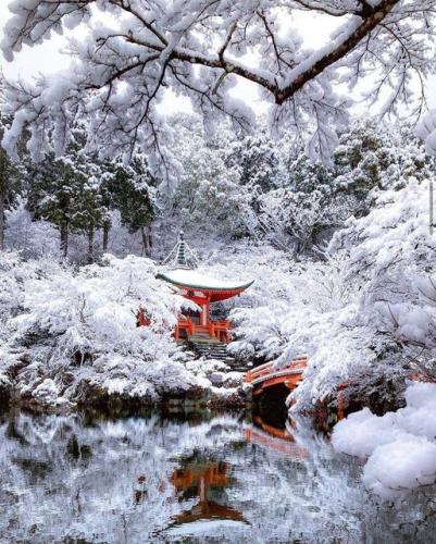 272990901_482522213243786_1893746452340327009_n