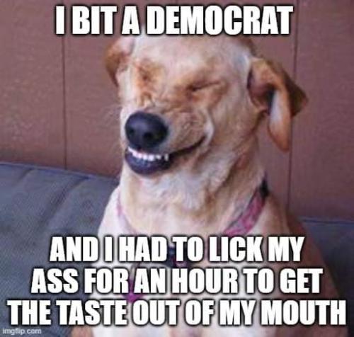 FB_IMG_1644328739375