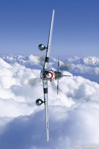 273773804_3135872516685086_5555419707505601077_n