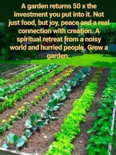 grow a garden