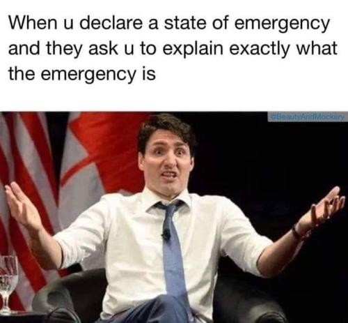 FB_IMG_1645050671441