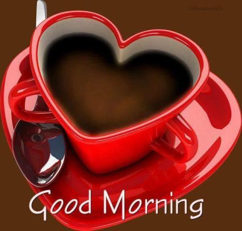 04:57:36 GMT-0800
